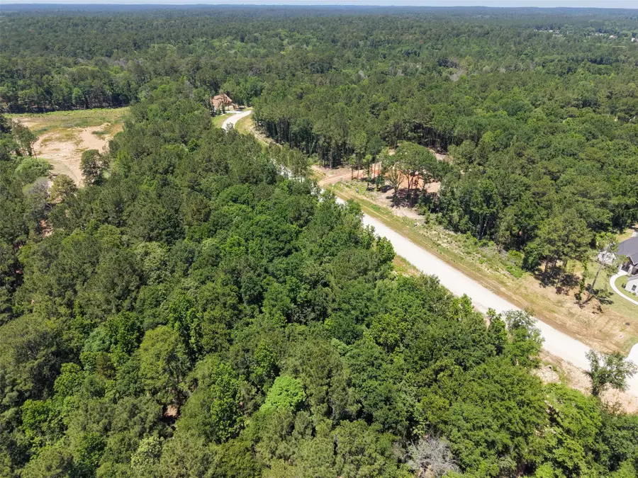 160 Heartland Road, New Waverly, TX 77358 - #2