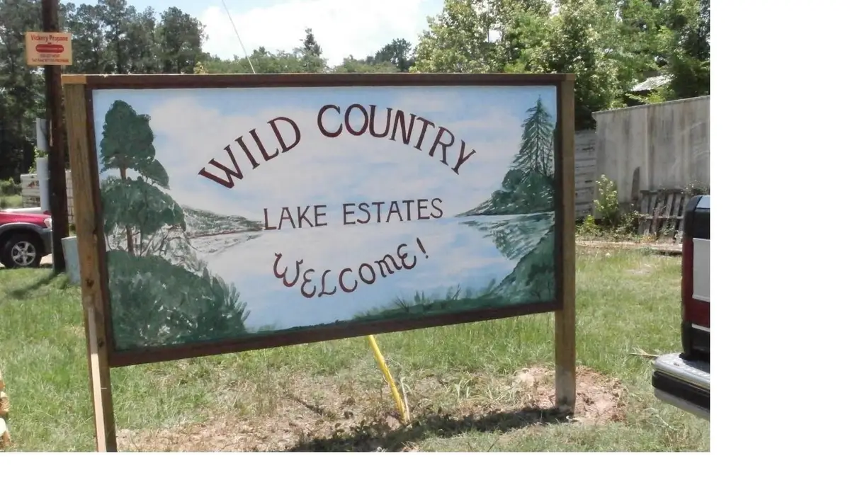 254 Bobby Baer Road, Livingston, TX 77351 - Image #1