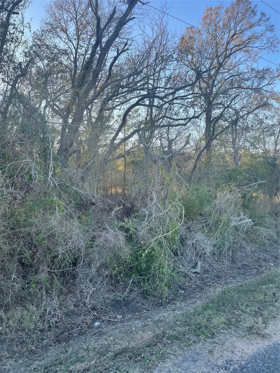0 County Road 428, Wharton, TX 77488 - Image #3