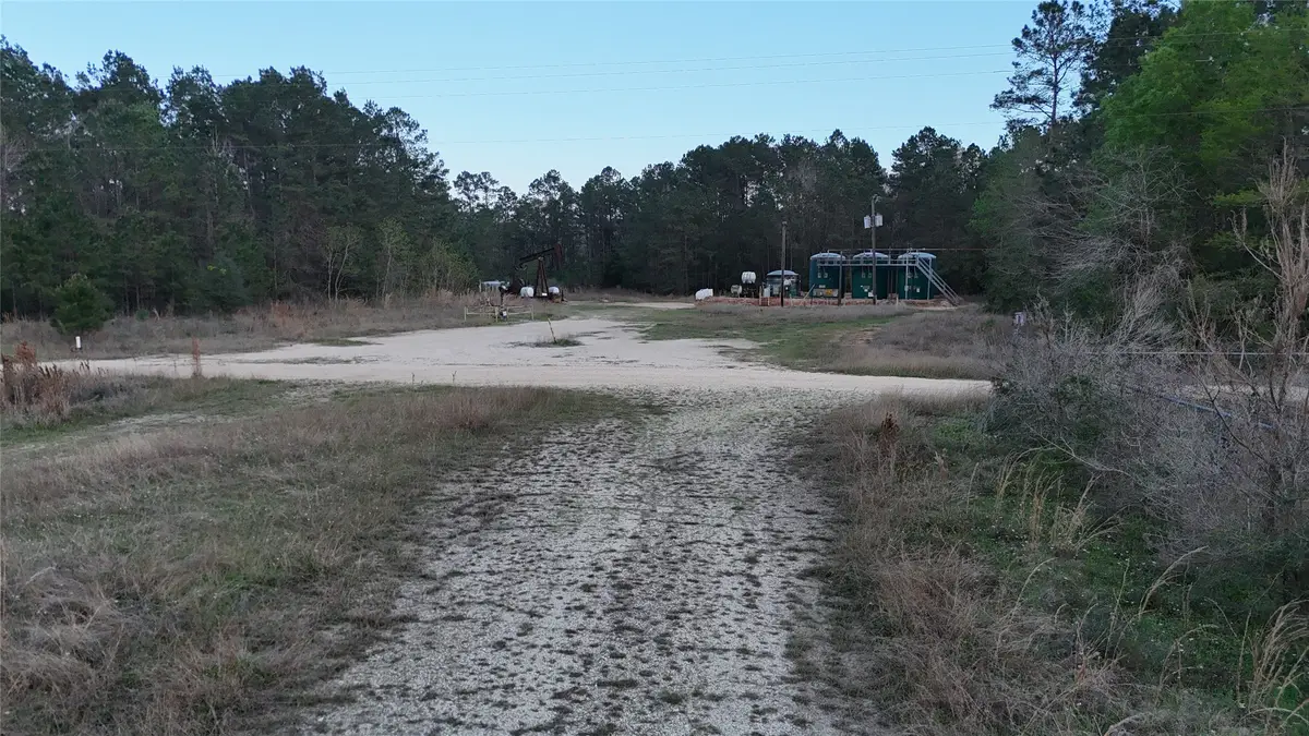 TBD Sh 146 South, Livingston, TX 77351 - #1