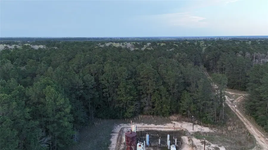 TBD Sh 146 South, Livingston, TX 77351 - #2
