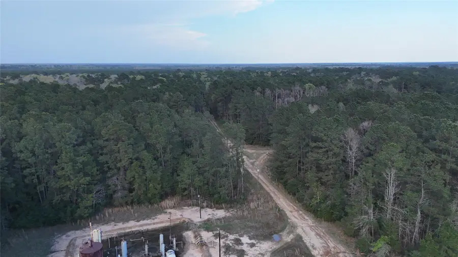 TBD Sh 146 South, Livingston, TX 77351 - #3