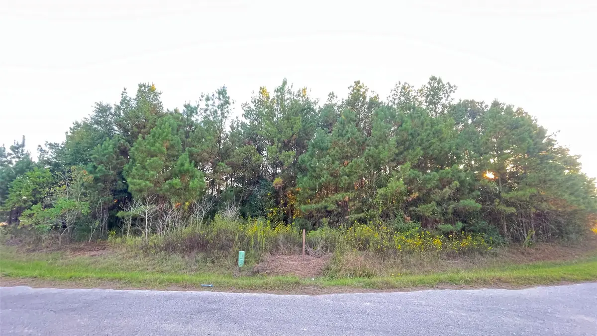 0 Road 3413, Cleveland, TX 77327 - Image #1