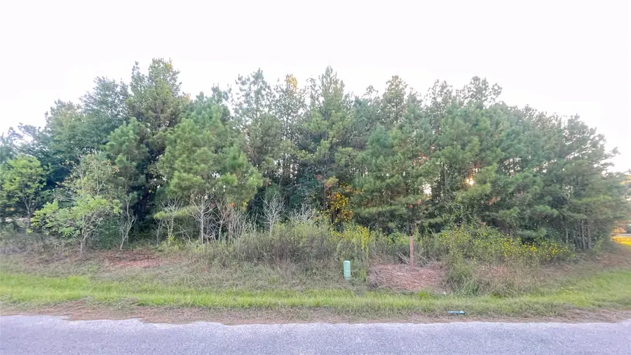 0 Road 3413, Cleveland, TX 77327 - Image #2