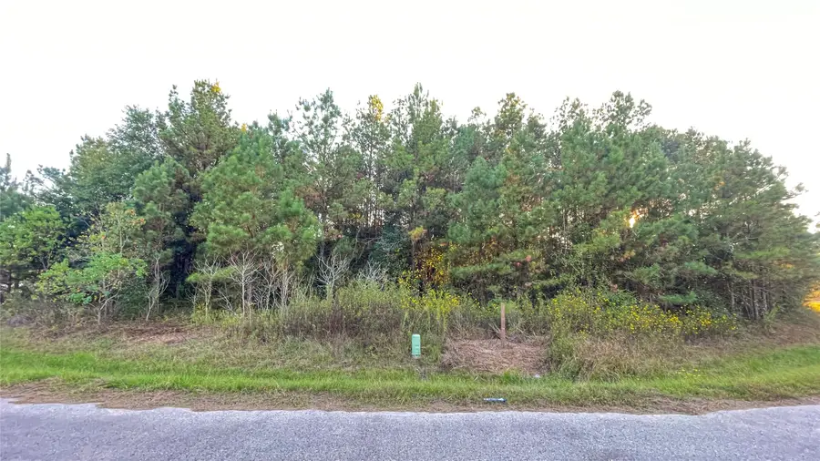 0 Road 3413, Cleveland, TX 77327 - Image #3