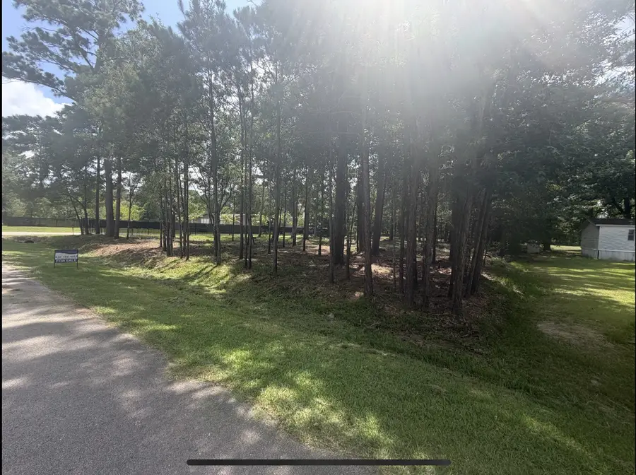 0 Bear Branch, Magnolia, TX 77354 - #3