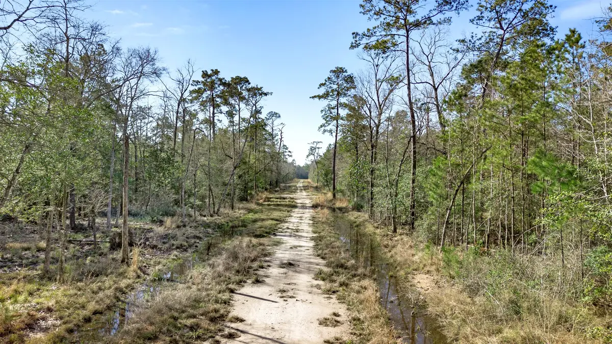 12310 Picos Road, Saratoga, TX 77585 - Image #1