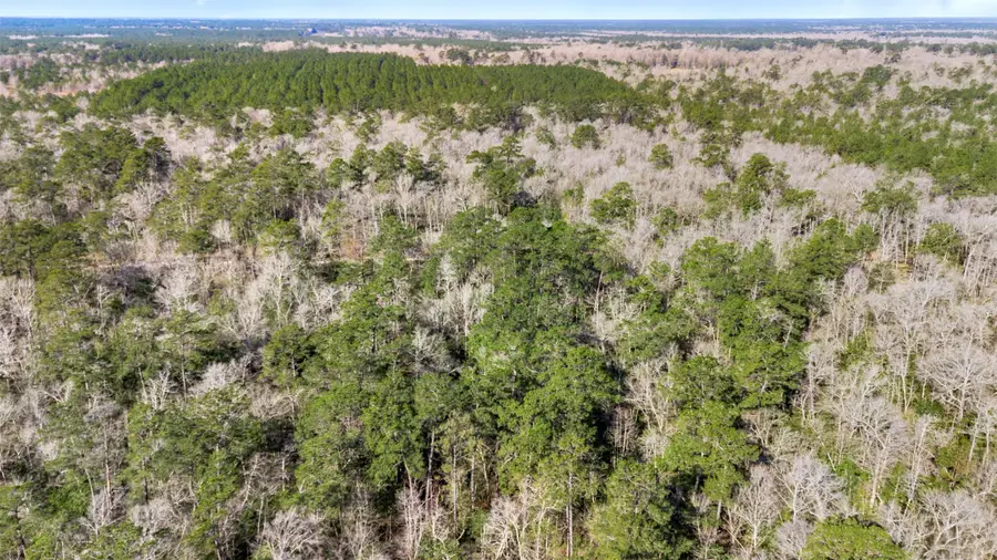 12310 Picos Road, Saratoga, TX 77585 - Image #3