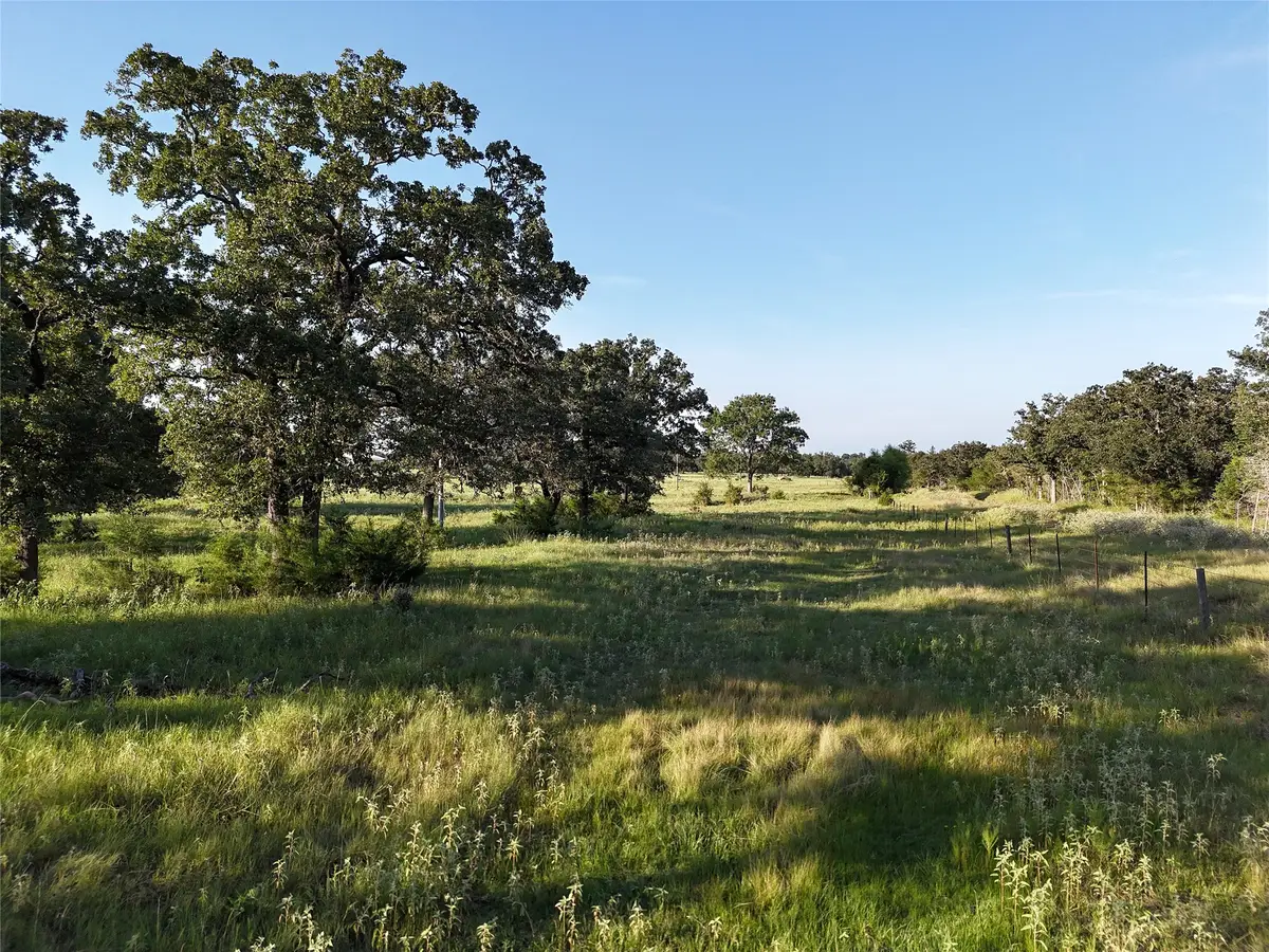 8600 Fm-1361, Somerville, TX 77879 - #1
