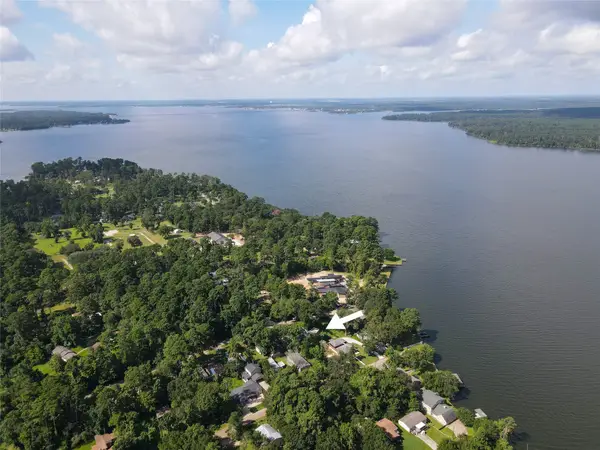 14510 Henry Calfee Drive, Willis, TX 77318