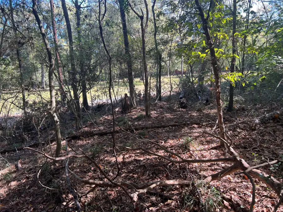 LOT 90 Rio Vista, Livingston Onalaska, TX 77352 - #3