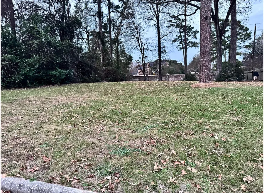 14114 Spring Pines Drive, Tomball, TX 77375 - Image #2