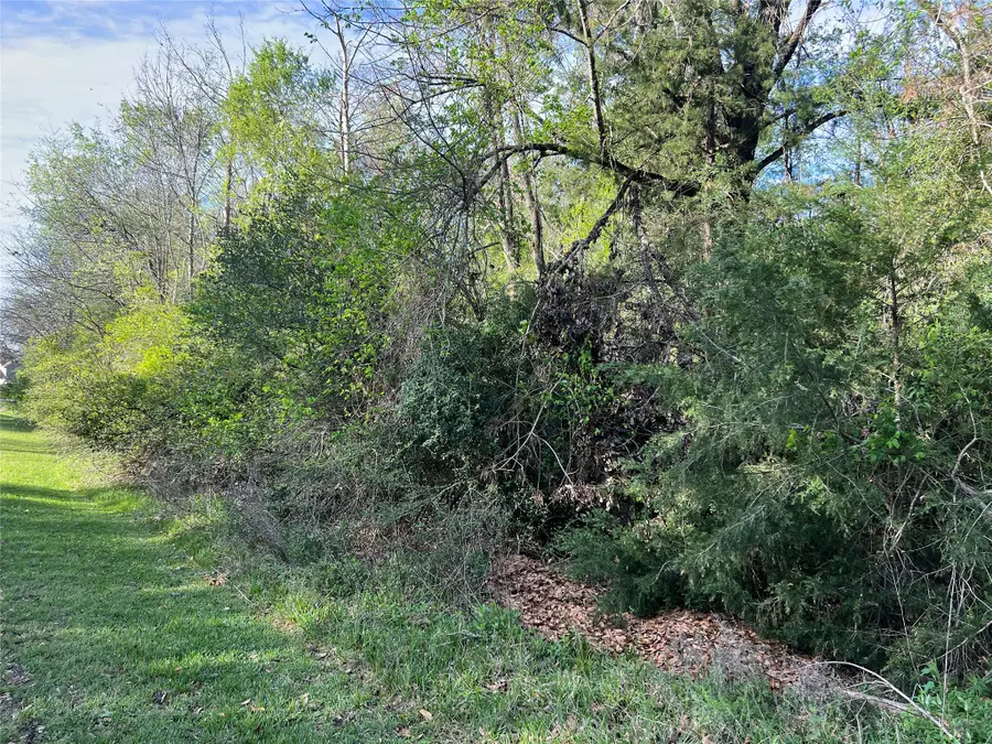 TBD Idlewild Drive, Onalaska, TX 77360 - #2