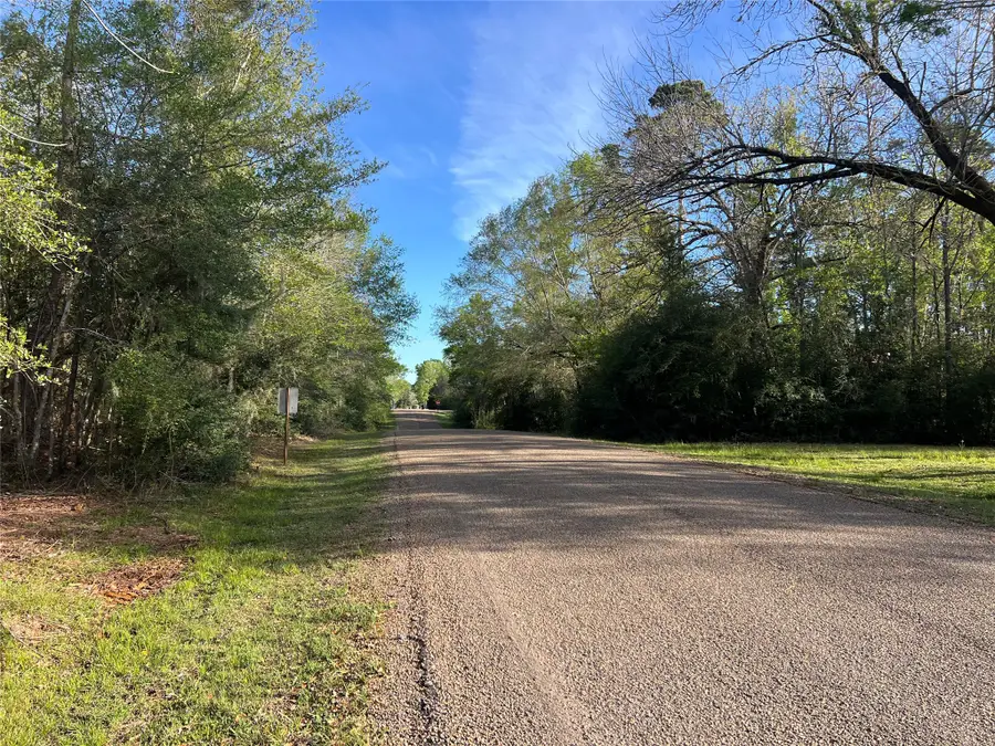 TBD Idlewild Drive, Onalaska, TX 77360 - #3