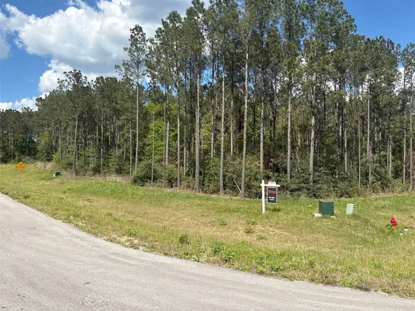 15648 Cricket Creek Court, Willis, TX 77378