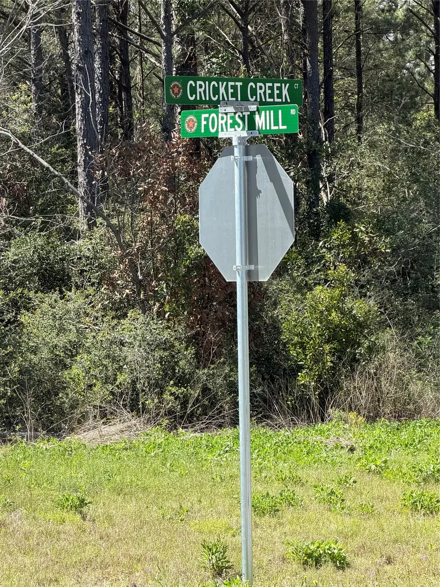 15648 Cricket Creek Court, Willis, TX 77378 - #3