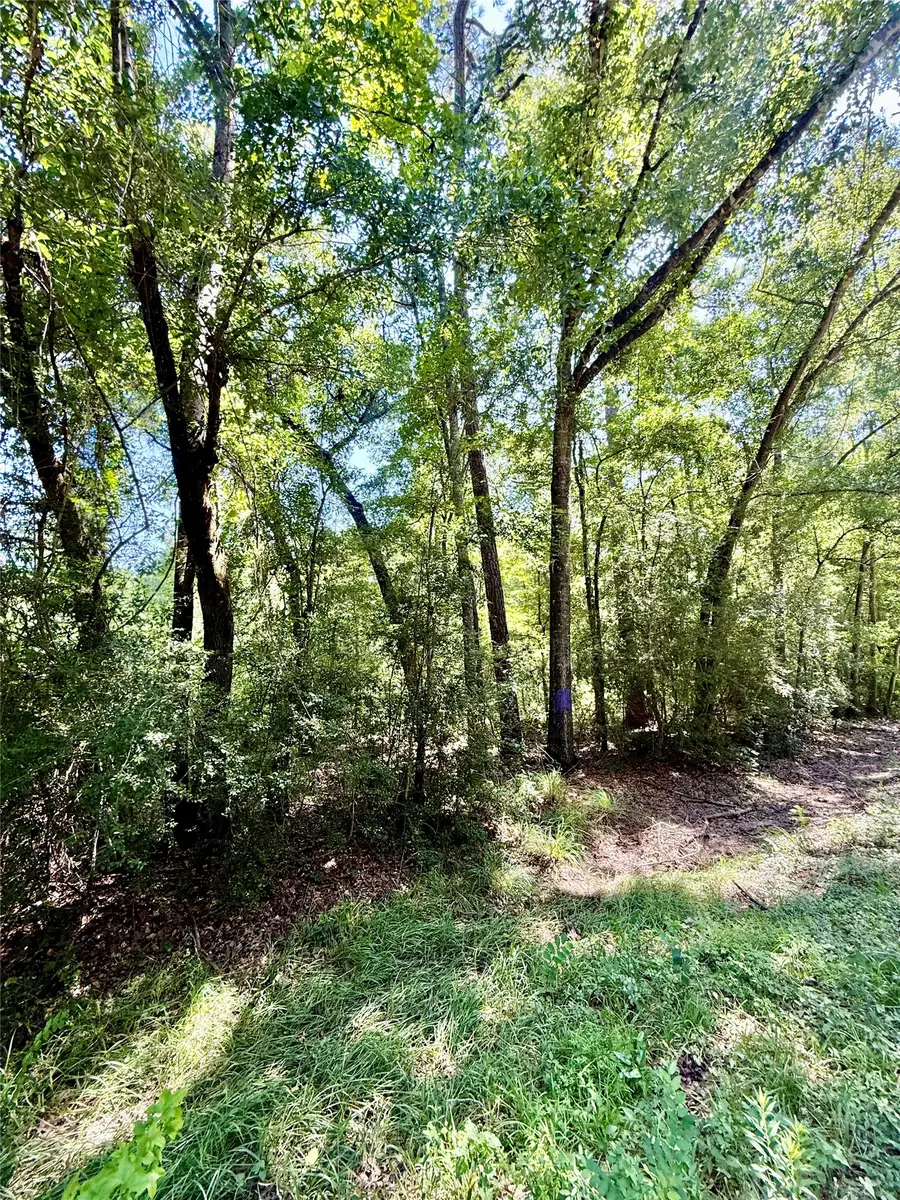 TBD Lot 6 Rolling Hills Drive, Porter, TX 77365 - #2