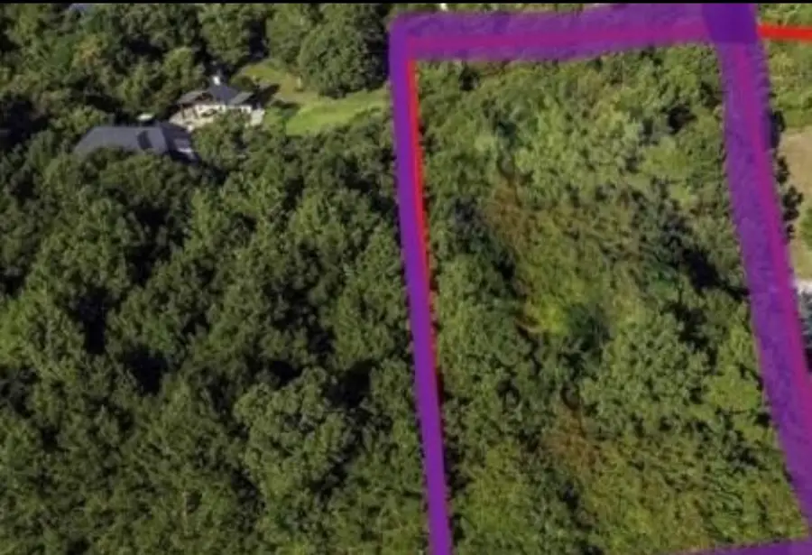 8524 Crown Lake Ct, Montgomery, TX 77316 - Image #3