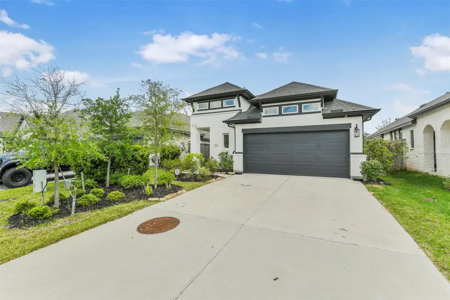 229 Trapper Creek Drive, Conroe, TX 77304 - #2