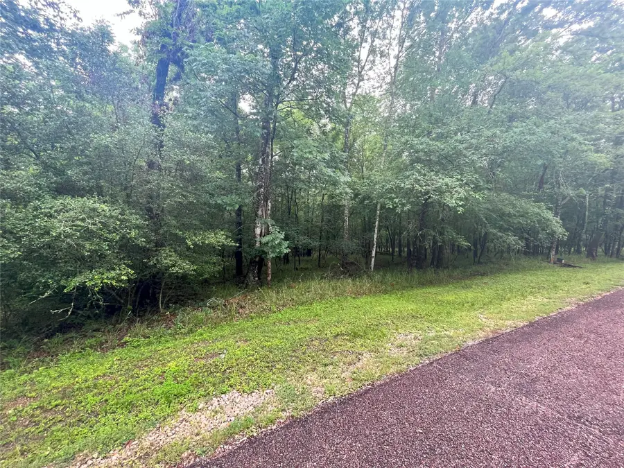 74 S Royale Greens Drive, Coldspring, TX 77331 - Image #2