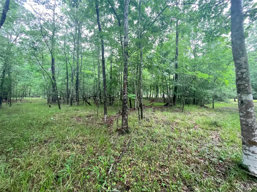 74 S Royale Greens Drive, Coldspring, TX 77331 - Image #3