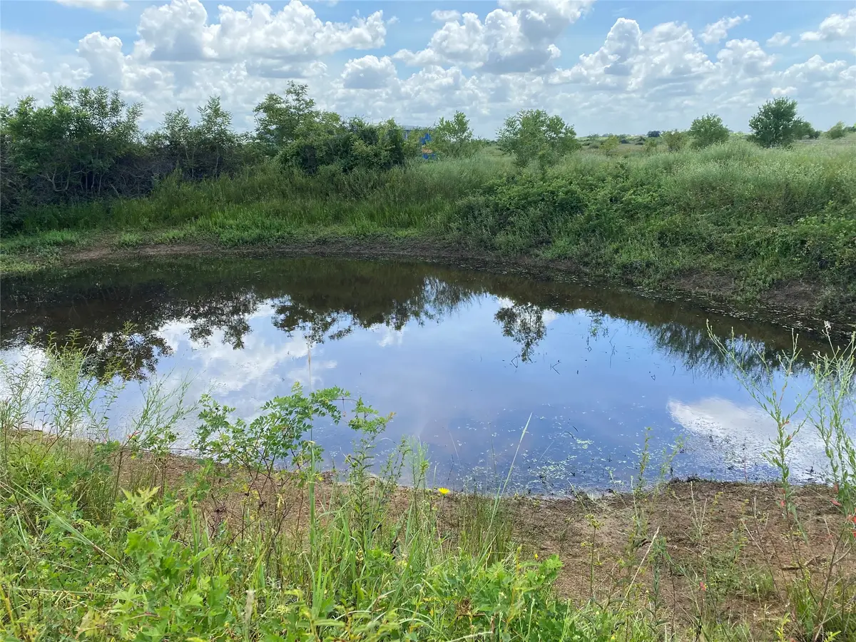 Tract 1 Kveton Road, Cat Spring, TX 78933 - #1