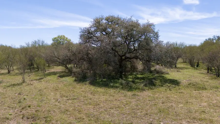 TBD Cr 105, Columbus, TX 78934 - #2