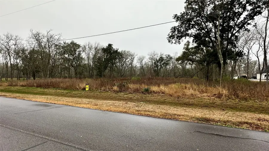 33626 Blue Marlin Drive, Richwood, TX 77531 - #3