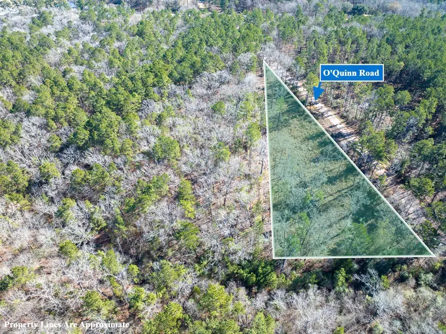 TBD O'quinn Road, Pollok, TX 75969 - #2