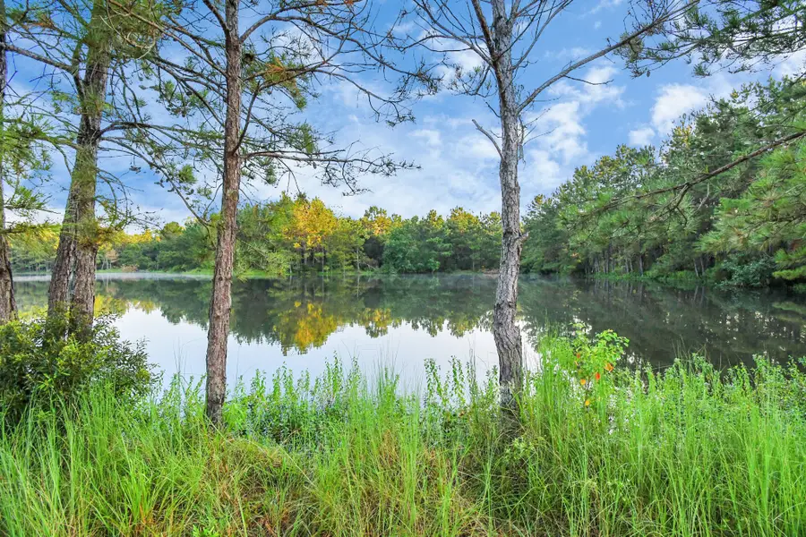 12520 Highway 59 S, Shepherd, TX 77371 - Image #3