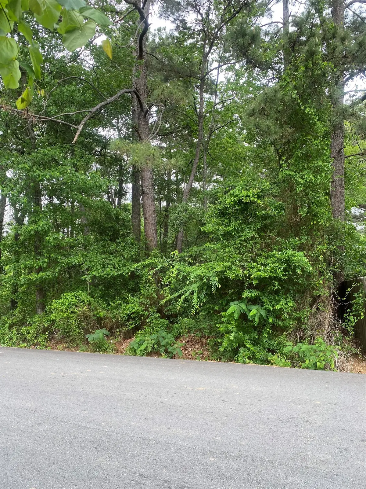 706 Hayman Street, Huntsville, TX 77340 - #1