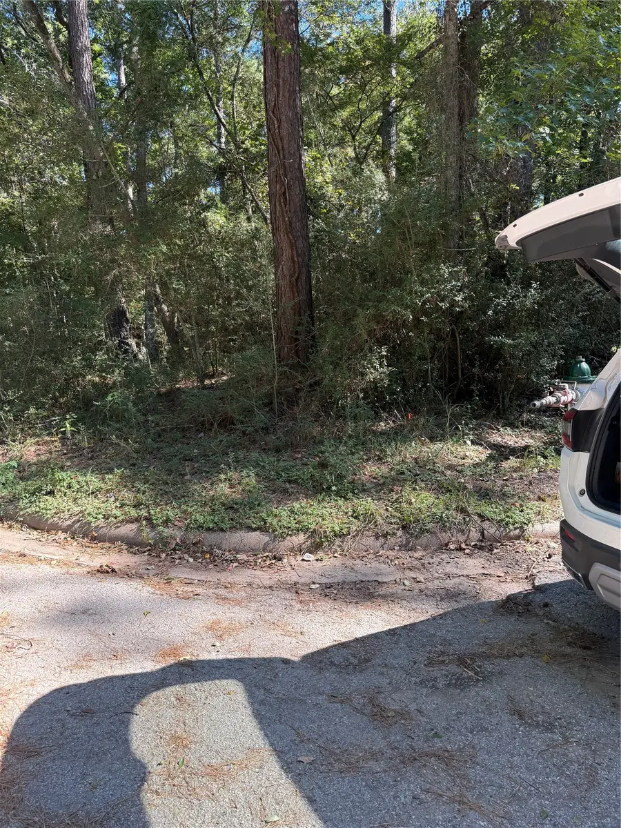 296 Broadmoor Drive, Huntsville, TX 77340 - #2