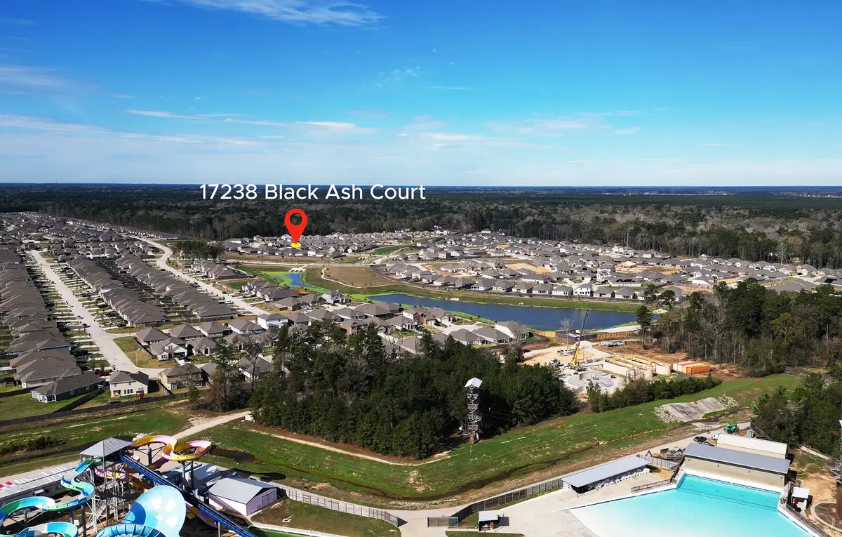 17238 Black Ash Court, New Caney, TX 77357 - #1