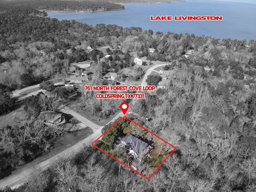 761 N Forest Cove Loop, Coldspring, TX 77331 - Image #3