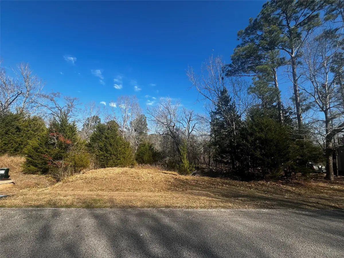 731 N Forest Cove Loop, Coldspring, TX 77331 - Image #1
