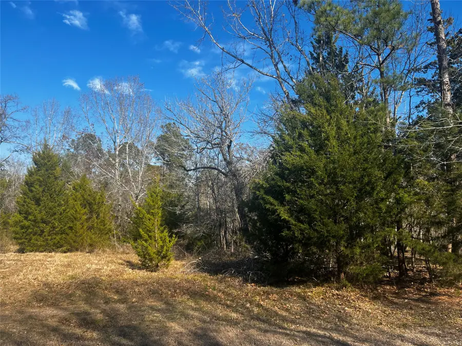 731 N Forest Cove Loop, Coldspring, TX 77331 - Image #2