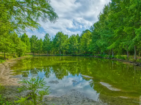 1630 County Road 219, Brookeland, TX 75931