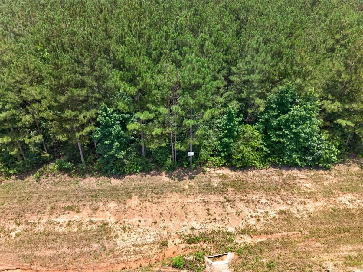 15261 Rubicon Road, Willis, TX 77378 - #1