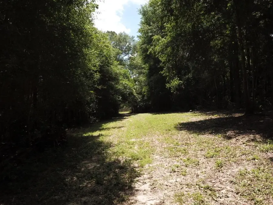 9.57 Acres Hwy 69 N, Woodville, TX 75979 - Image #2