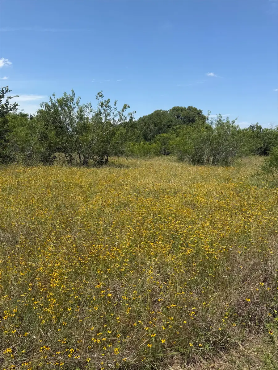 0 County Road 438, Snook, TX 77878 - #2