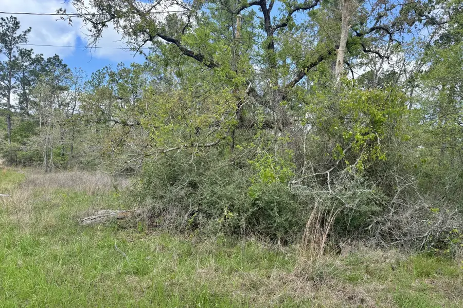 251 William Thomas Road, Huntsville, TX 77320 - #3