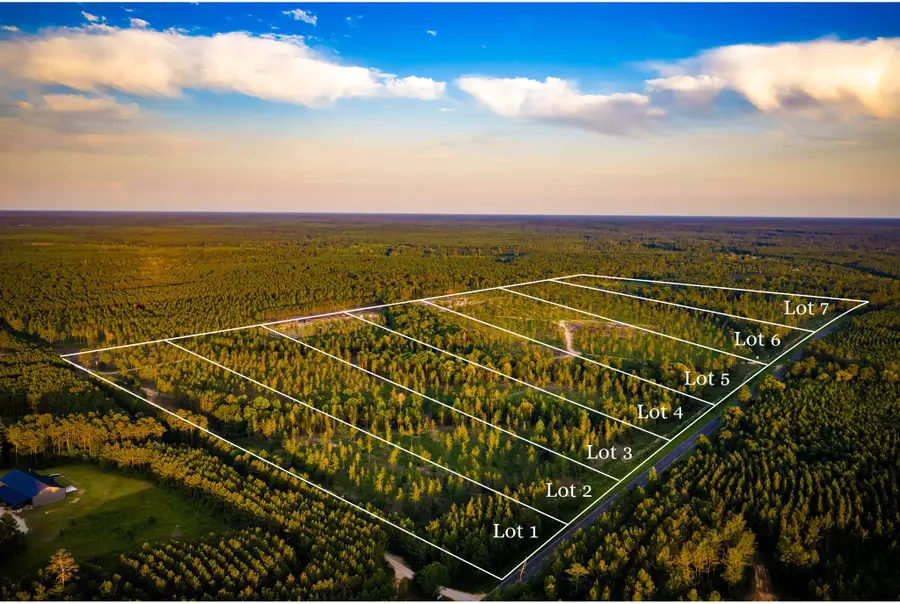 TBD lot 4 Fm 1276, Livingston, TX 77351 - #2