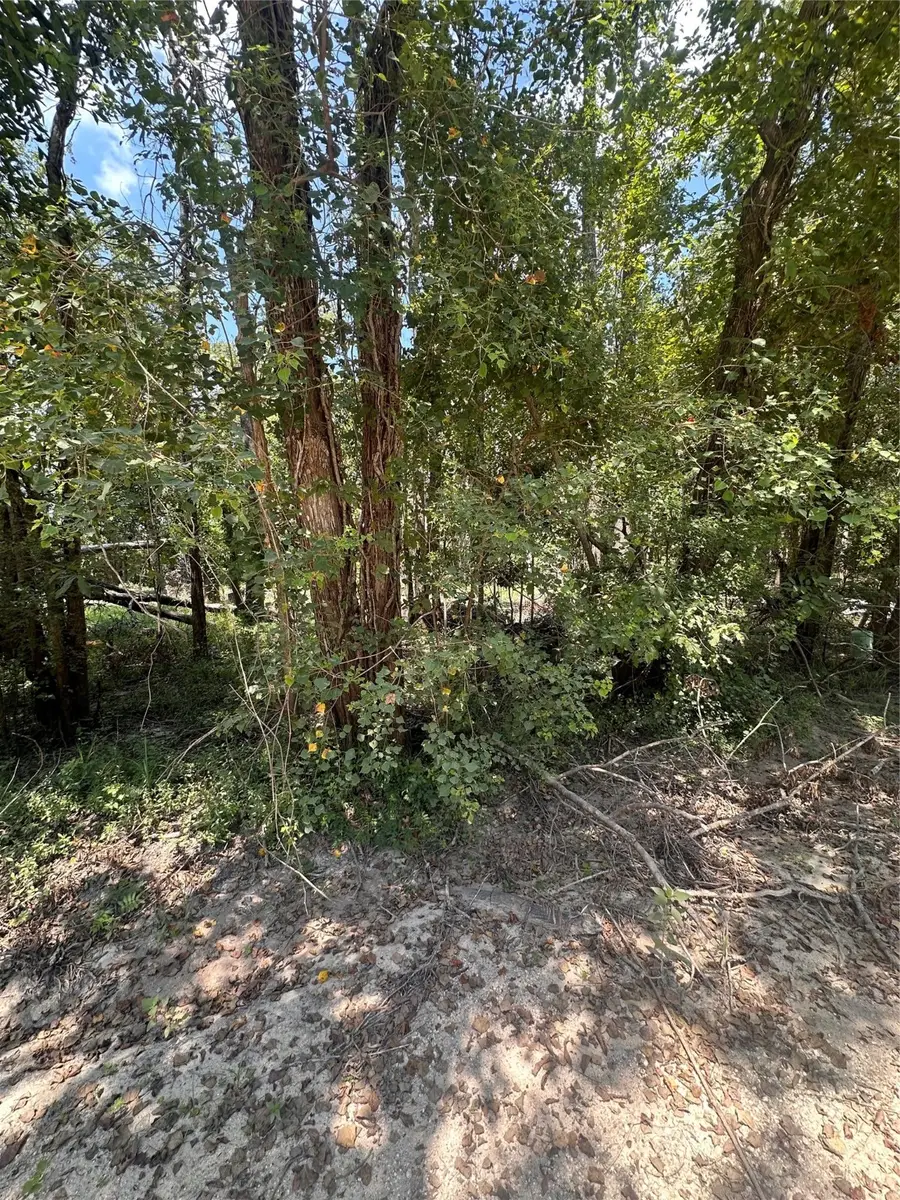 TBD Private Road 6444, Dayton, TX 77535 - #3