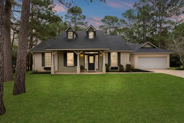 22602 Rainfern Drive, Magnolia, TX 77355