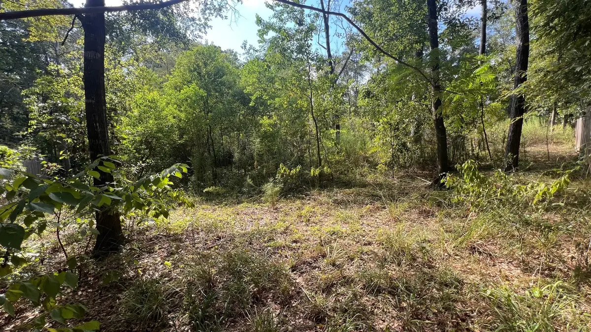 1112 Columbia River Rd, Conroe, TX 77316 - #1