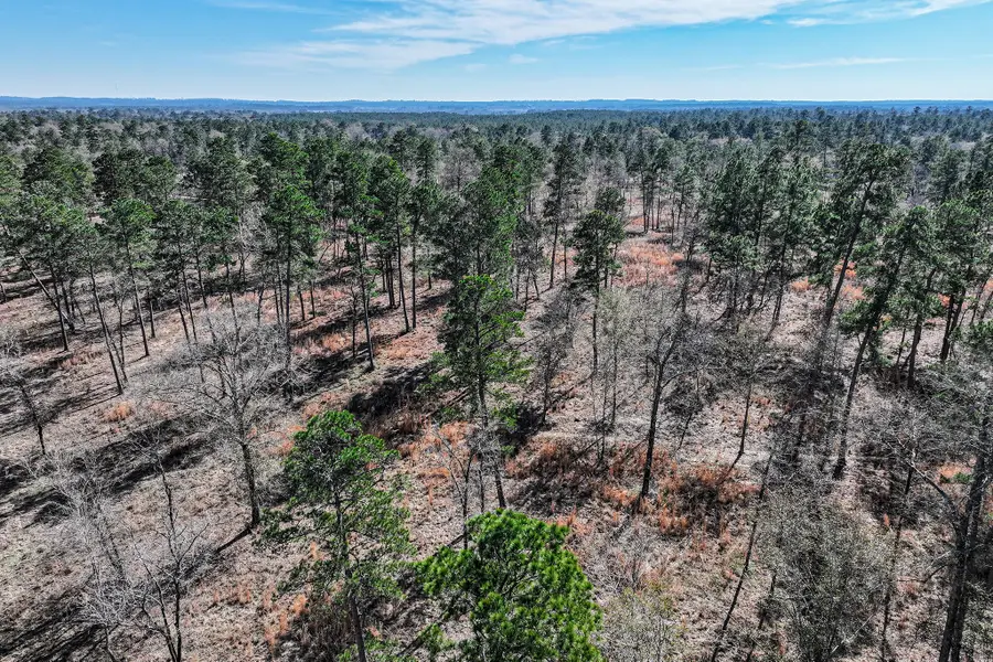 14.5 Acres Westview Drive, Huntsville, TX 77320 - Image #2