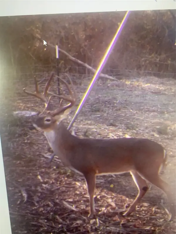 0 Pr 3420, Jewett, TX 75846