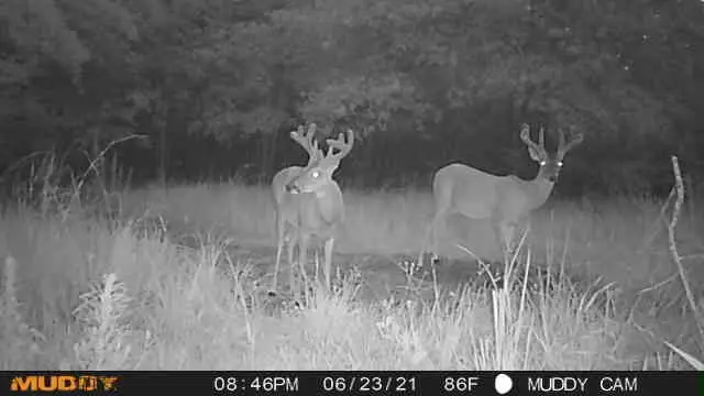 0 Pr 3420, Jewett, TX 75846 - Image #2