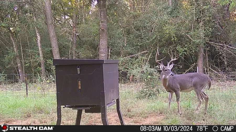 0 Pr 3420, Jewett, TX 75846 - Image #3