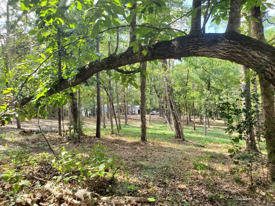 331 County Road 3240, Colmesneil, TX 75938 - #3